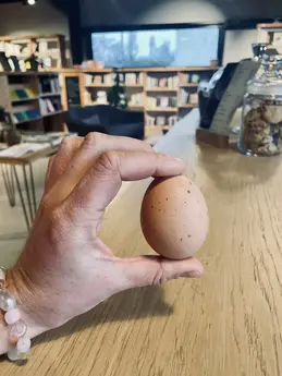 Oeufs-production-locale-Biocoop